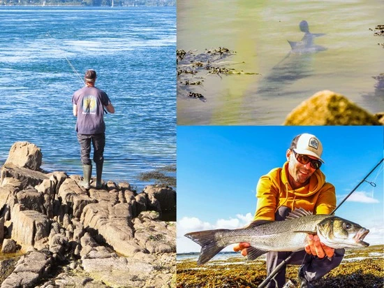 Lebreton guide de pêche du bar au bord dans le Morbihan