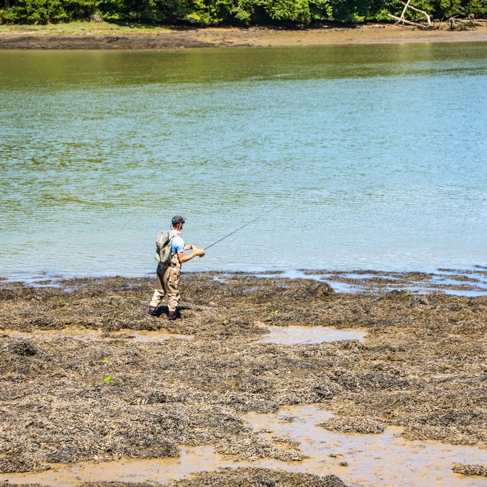 Gavin Lebreton guide de pêche du bar en estuaire, Golfe du Morbihan Bretagne