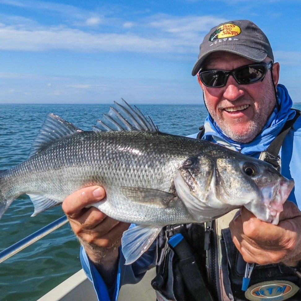Gavin Lebreton guide de pêche en bateau, Golfe du Morbihan Bretagne