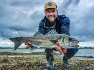 Gavin Lebreton guide de pêche côtière du bar, Morbihan Bretagne