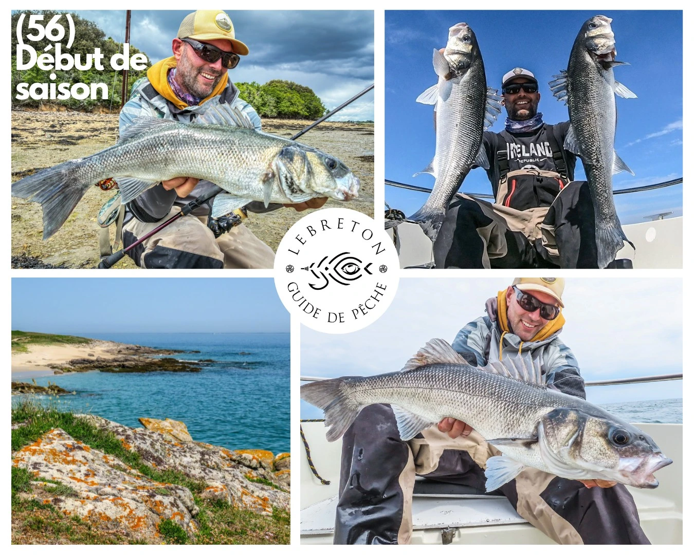 Pêche du bar dans le Morbihan : début de saison