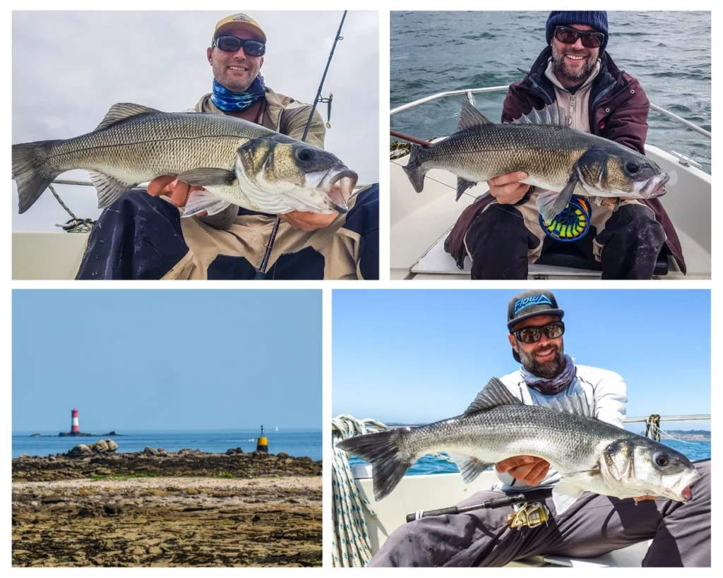 Gavin Lebreton guide de pêche en bateau, début de saison du bar, Morbihan Bretagne