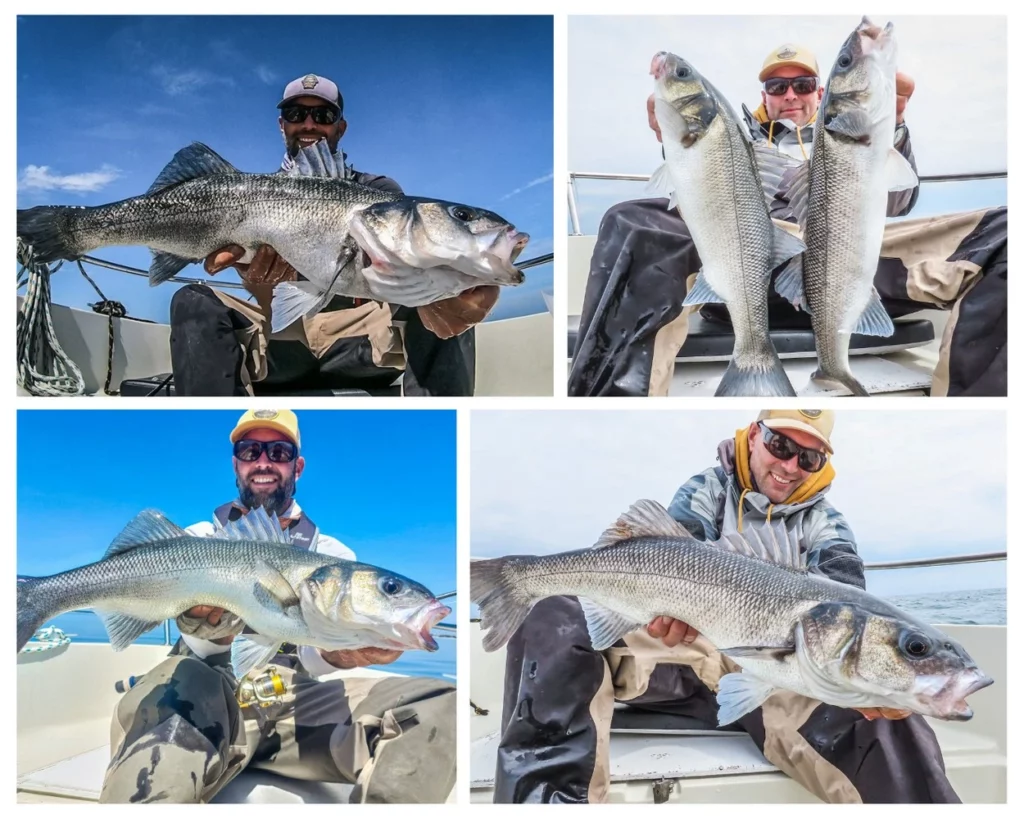 Gavin Lebreton guide de pêche du bar en bateau, Sarzeau Morbihan Bretagne